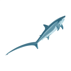 Under the Sea Theme Thresher Shark Transparent Sticker